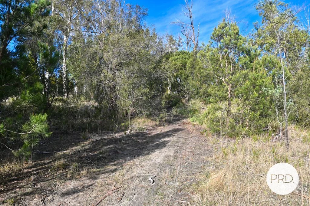 Image 18