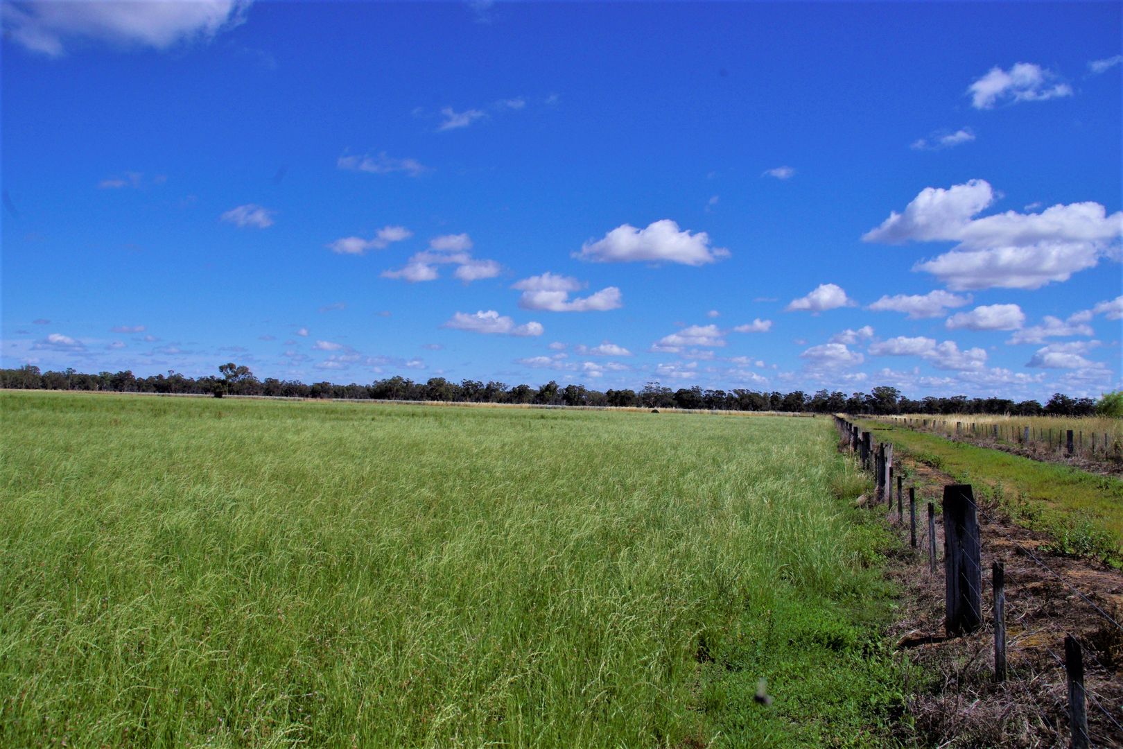 550 Fidge Road, Undera VIC 3629 House for Sale 310,000 Domain