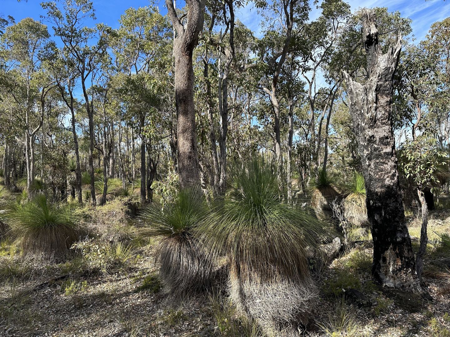 Lot 20 Asplins Road, Benjinup WA 6255, Image 1