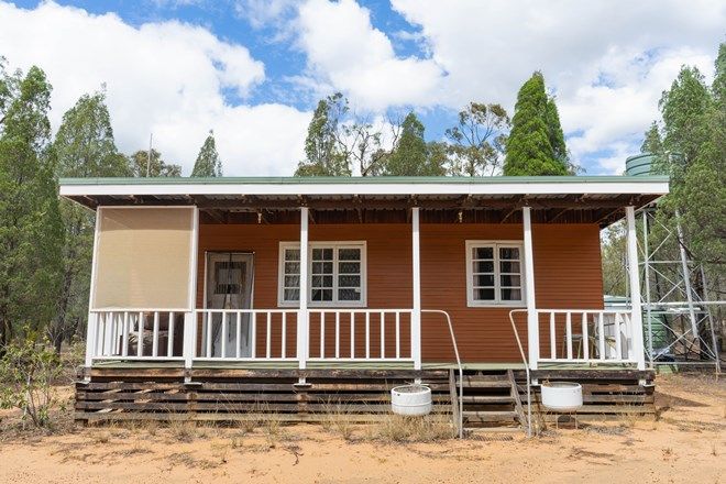 Picture of 9 Bloodwood Avenue, MILLMERRAN WOODS QLD 4357