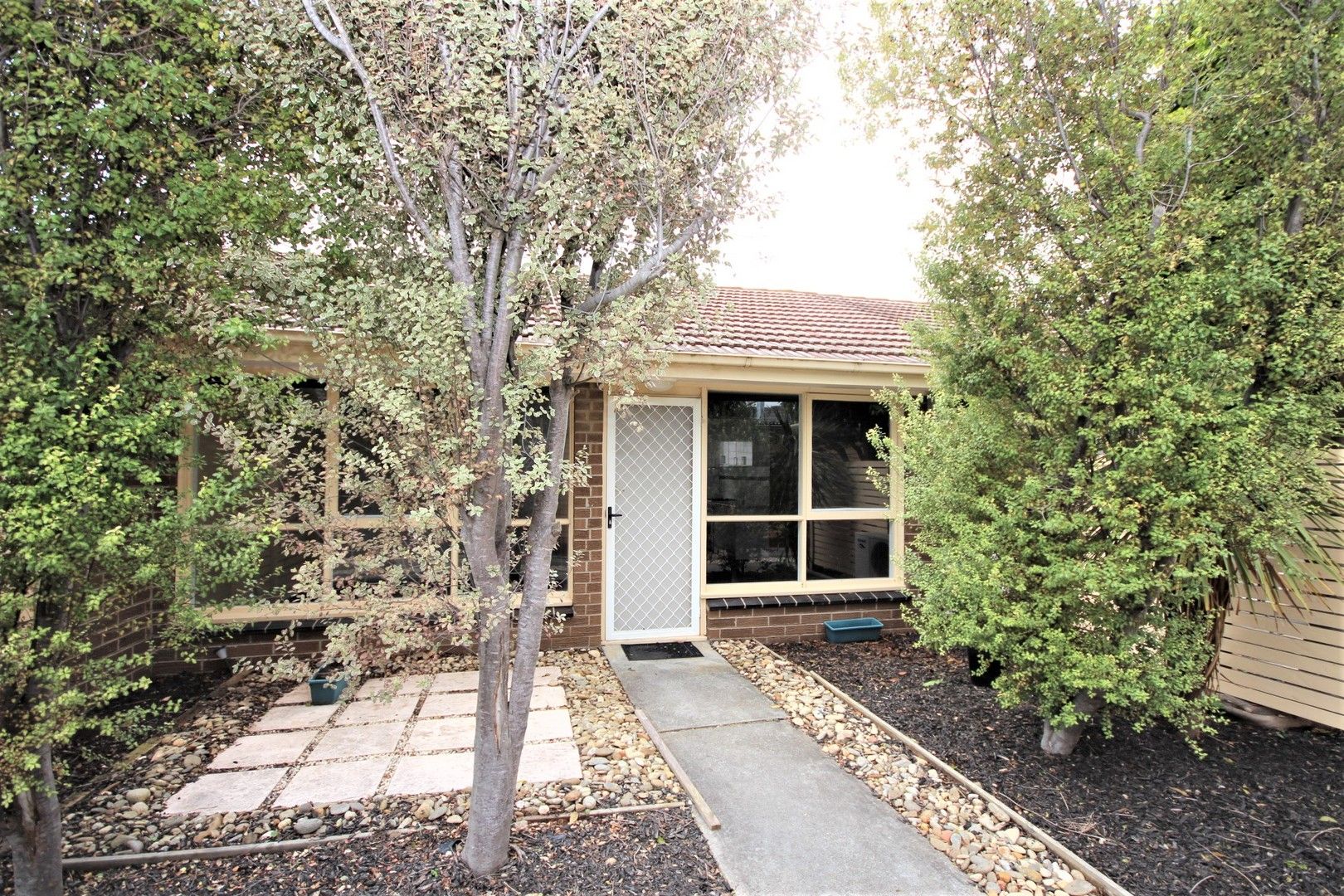 2/19 Itkeston Street, Herne Hill VIC 3218 Apartment For Rent Domain