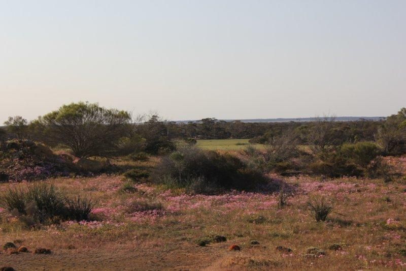 Lot 14030 Chandler-Merredin Road, Goomarin WA 6415, Image 1