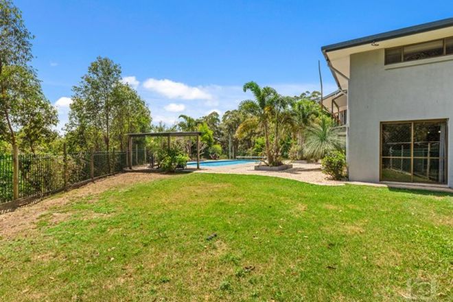 Picture of 341 Wardrop Valley Road, SOUTH MURWILLUMBAH NSW 2484