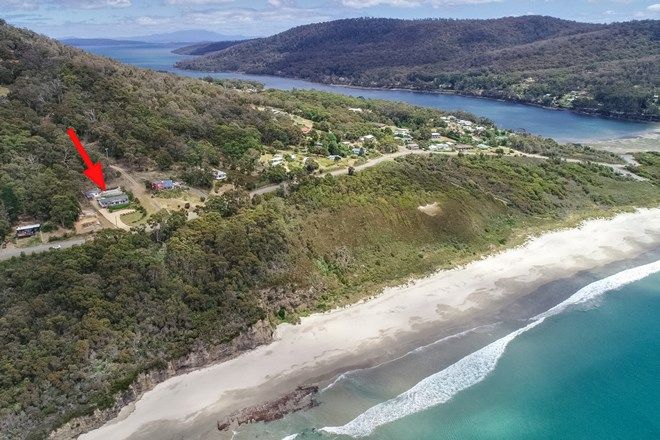 Picture of 72 Blowhole Road, EAGLEHAWK NECK TAS 7179