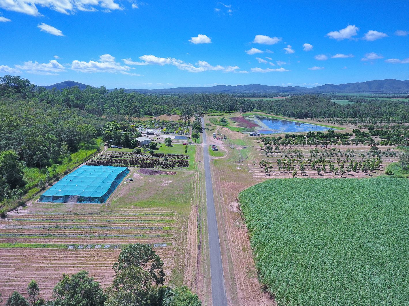 1603 GeebergaButhurra Road, Mount Ossa QLD 4741 House for Sale