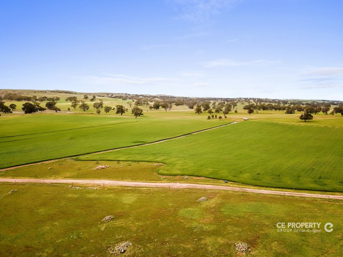 537 Cookes Hill Road, Springton SA 5235, Image 1