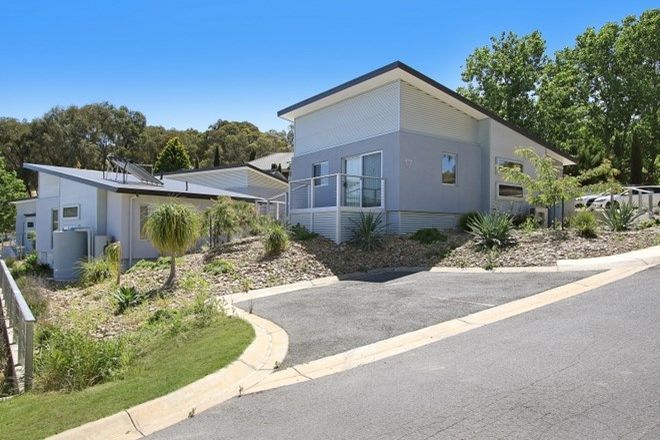 32 Apartments For Sale In West Albury Nsw 2640 Domain
