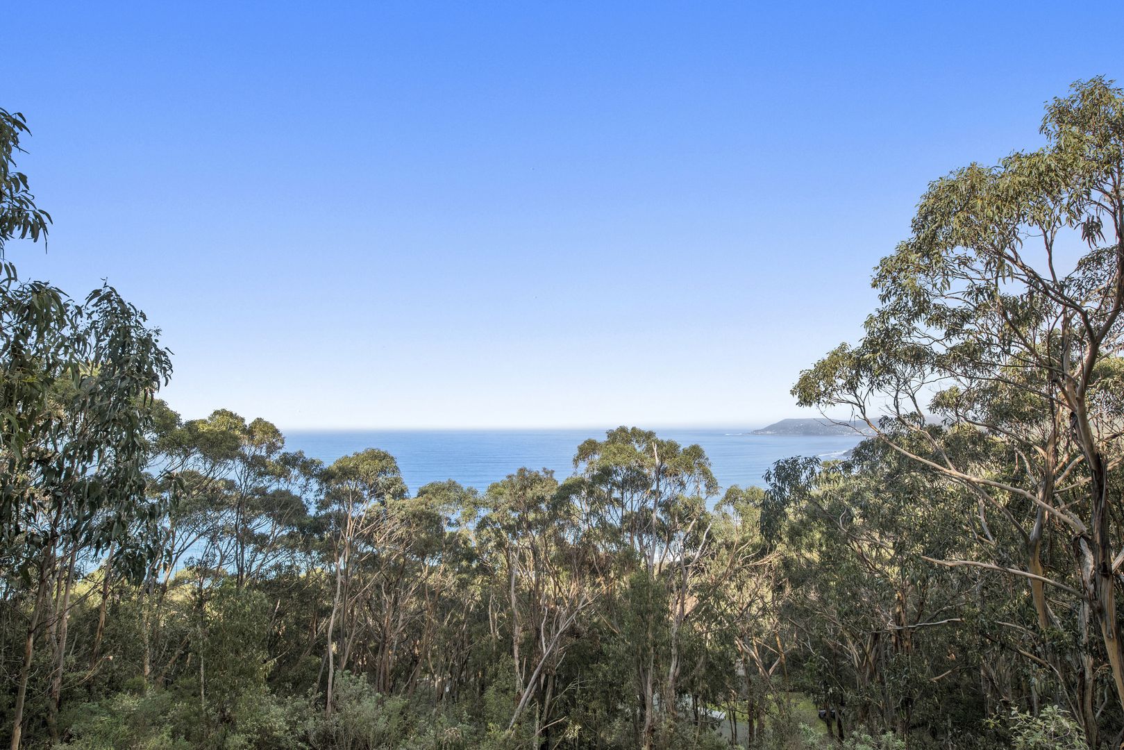 1188 Great Ocean Road, Big Hill VIC 3231, Image 1