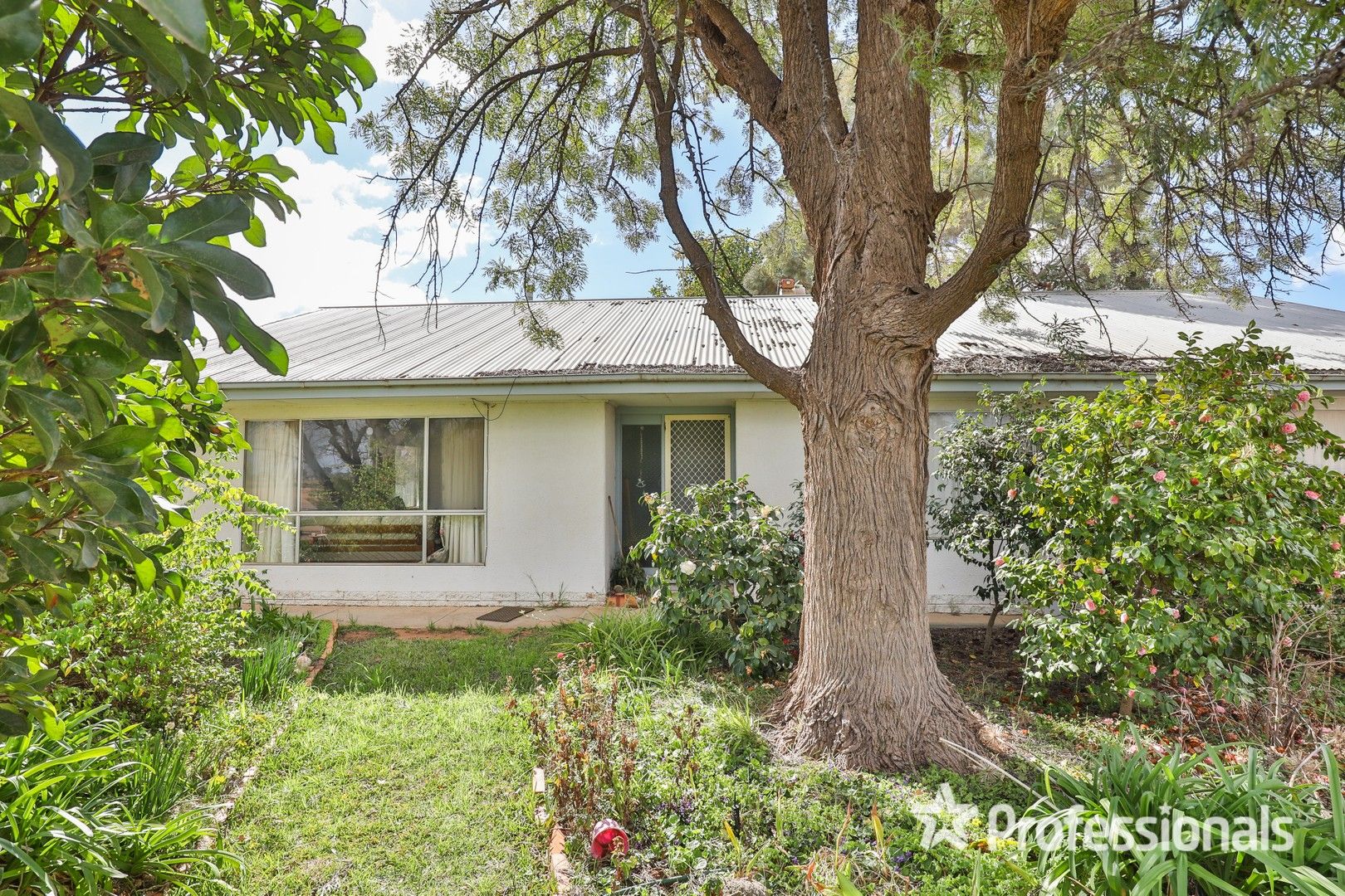 3 bedrooms House in 224 Sixteenth  Street MILDURA VIC, 3500