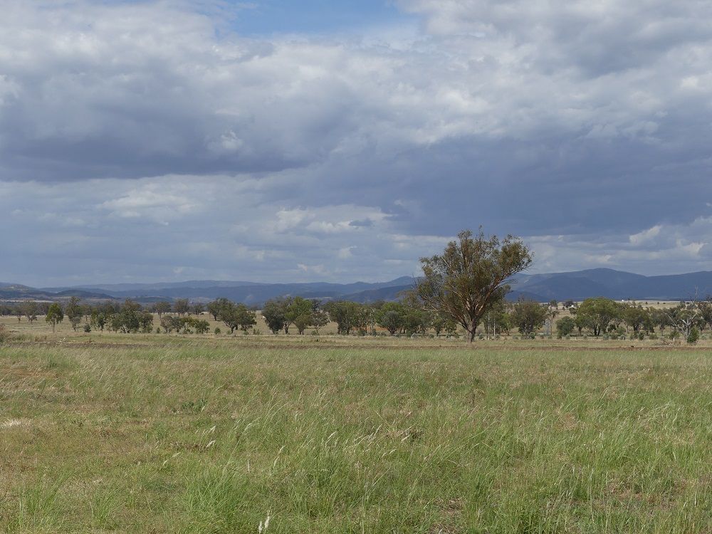 2363 Oxley Hwy, Tamworth NSW 2340, Image 0