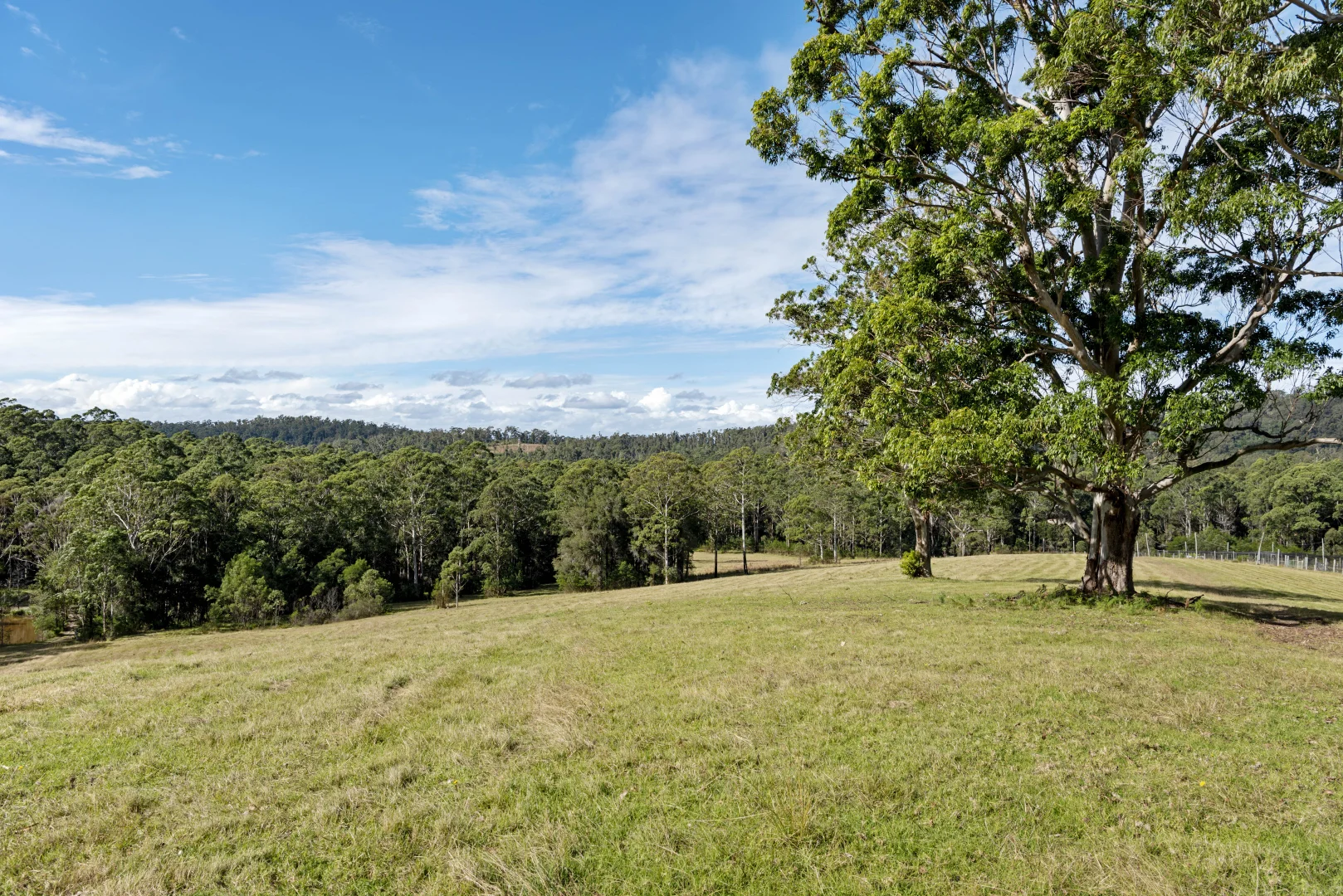 Additional image 9 of 669a Woodburn Road, Morton NSW 2538