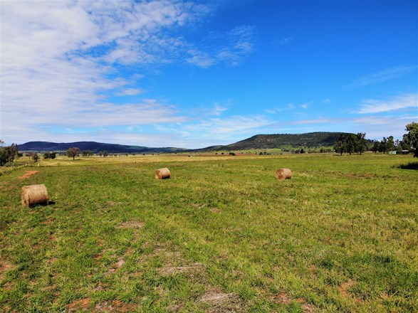 9849 Oxley Highway, Milroy NSW 2380