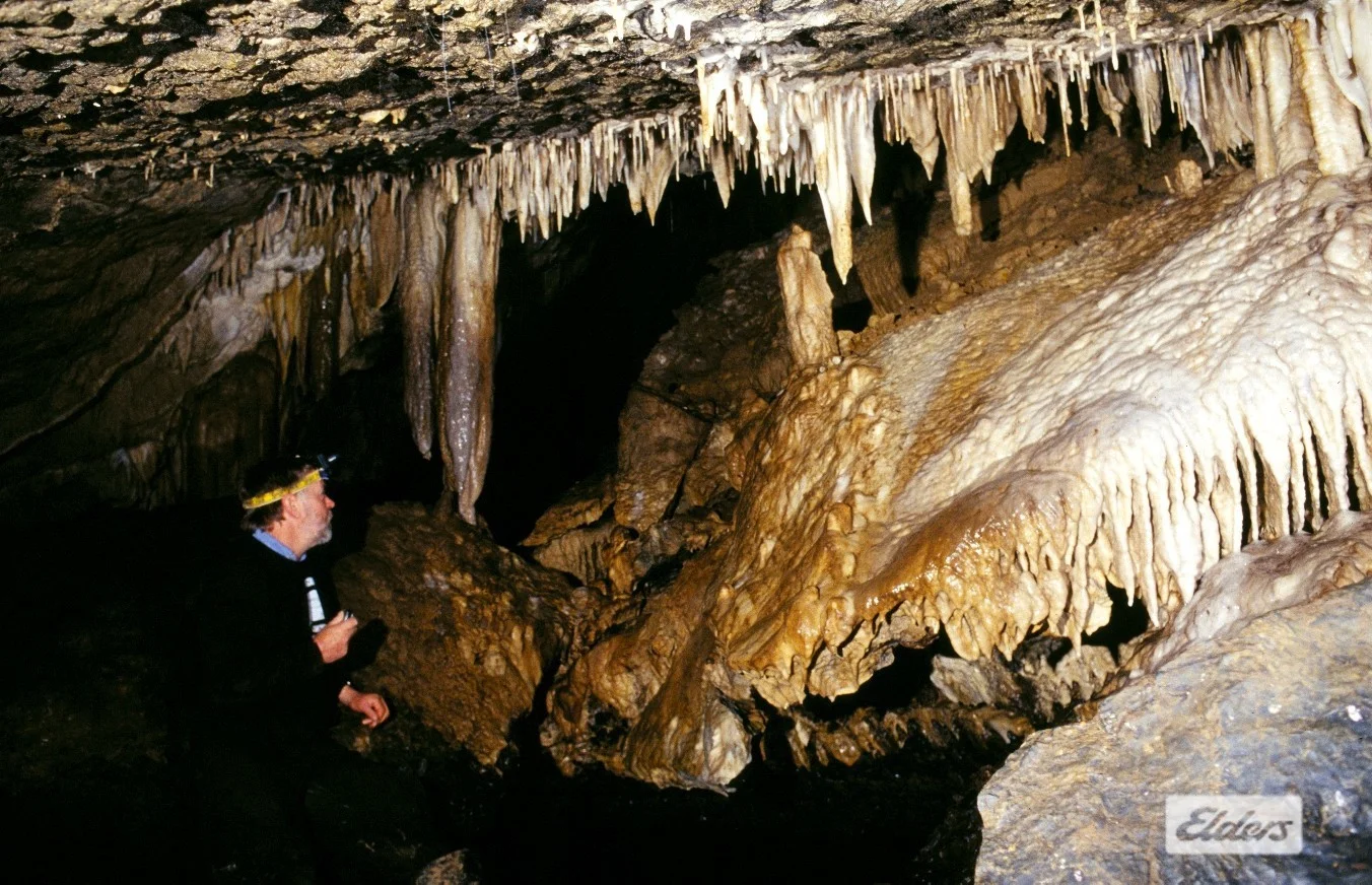 Additional image 23 of 1519 Loongana Road, Loongana TAS 7315