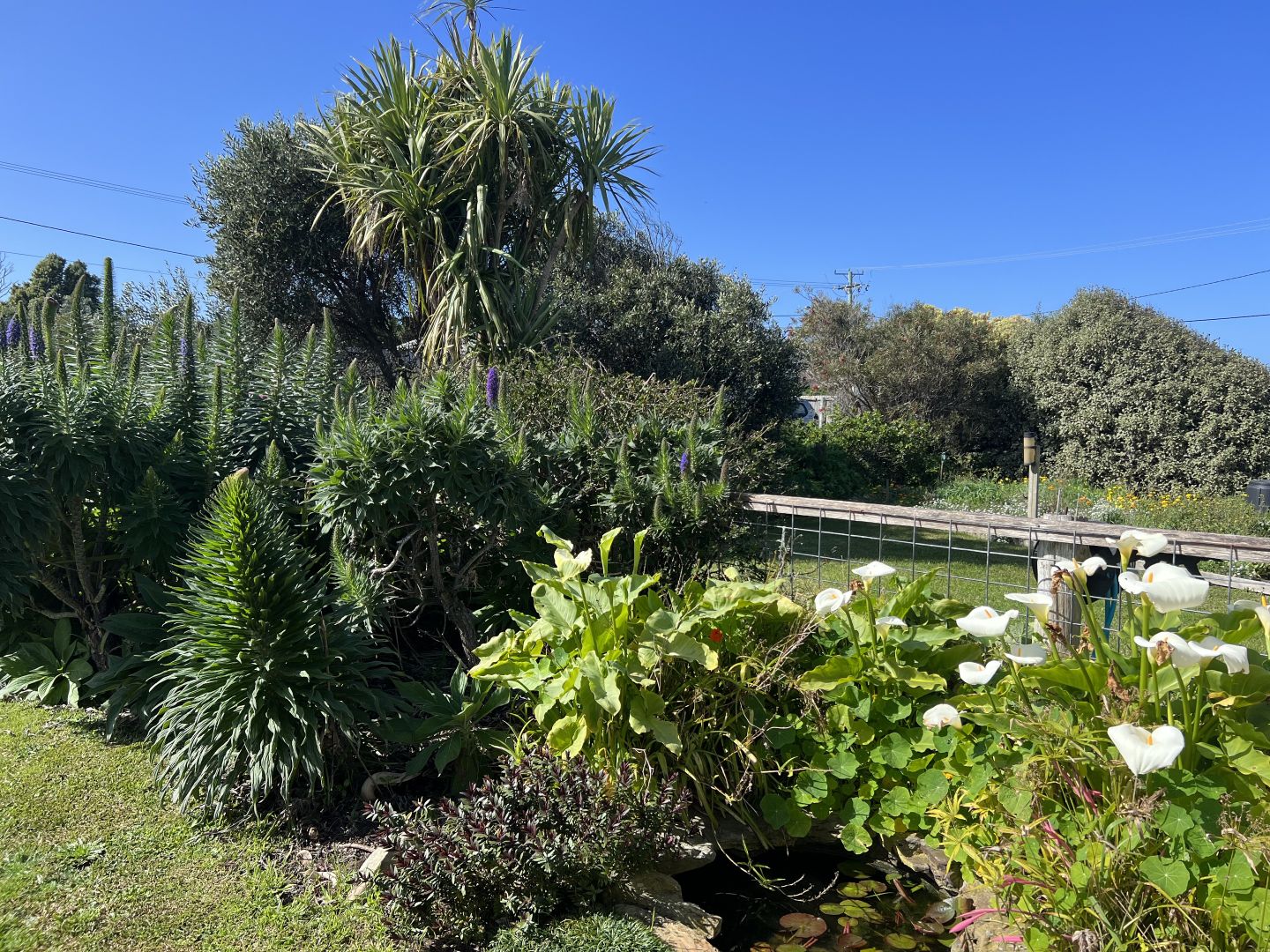 19 Edward Street Currie TAS 7256 Domain