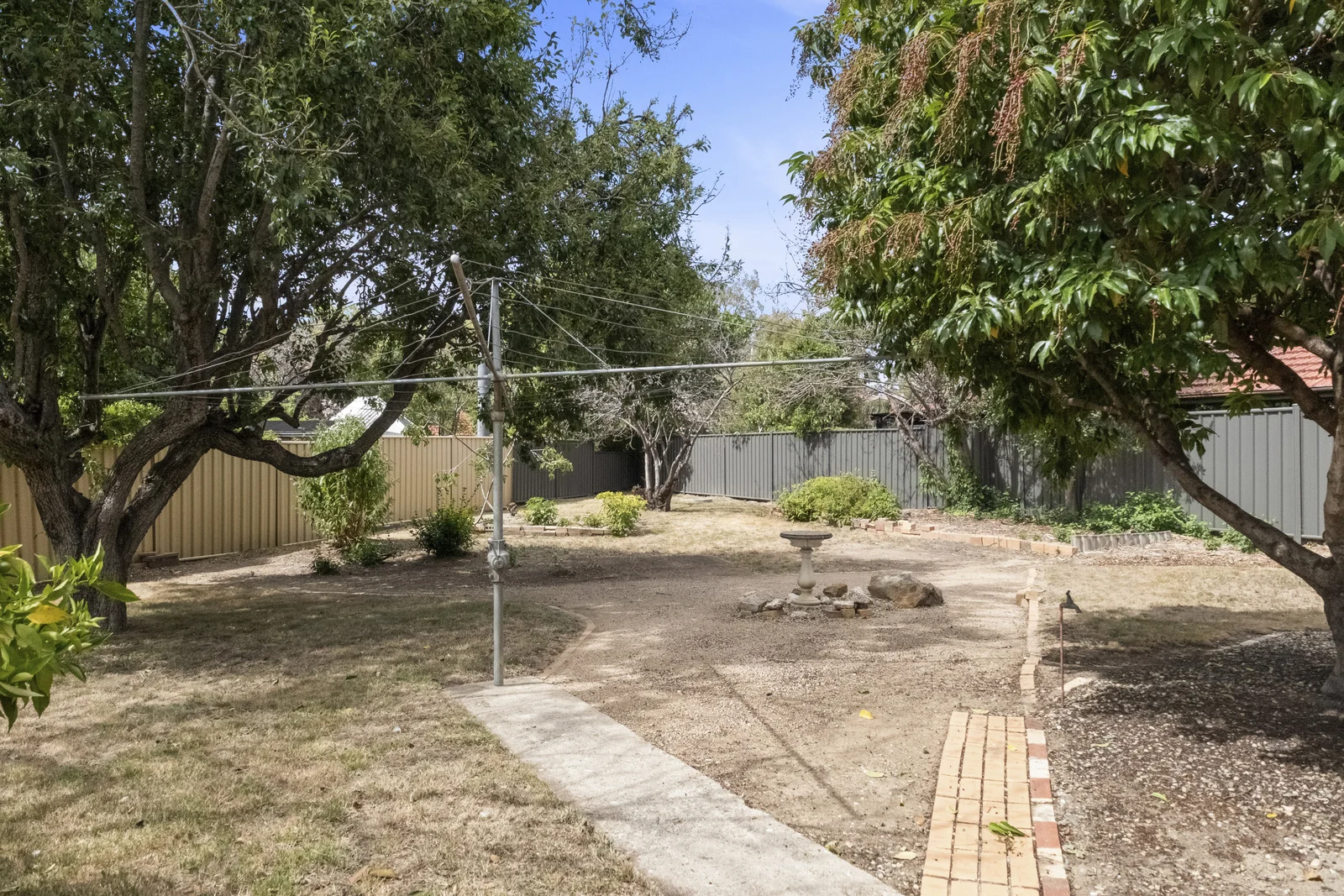 Image 20