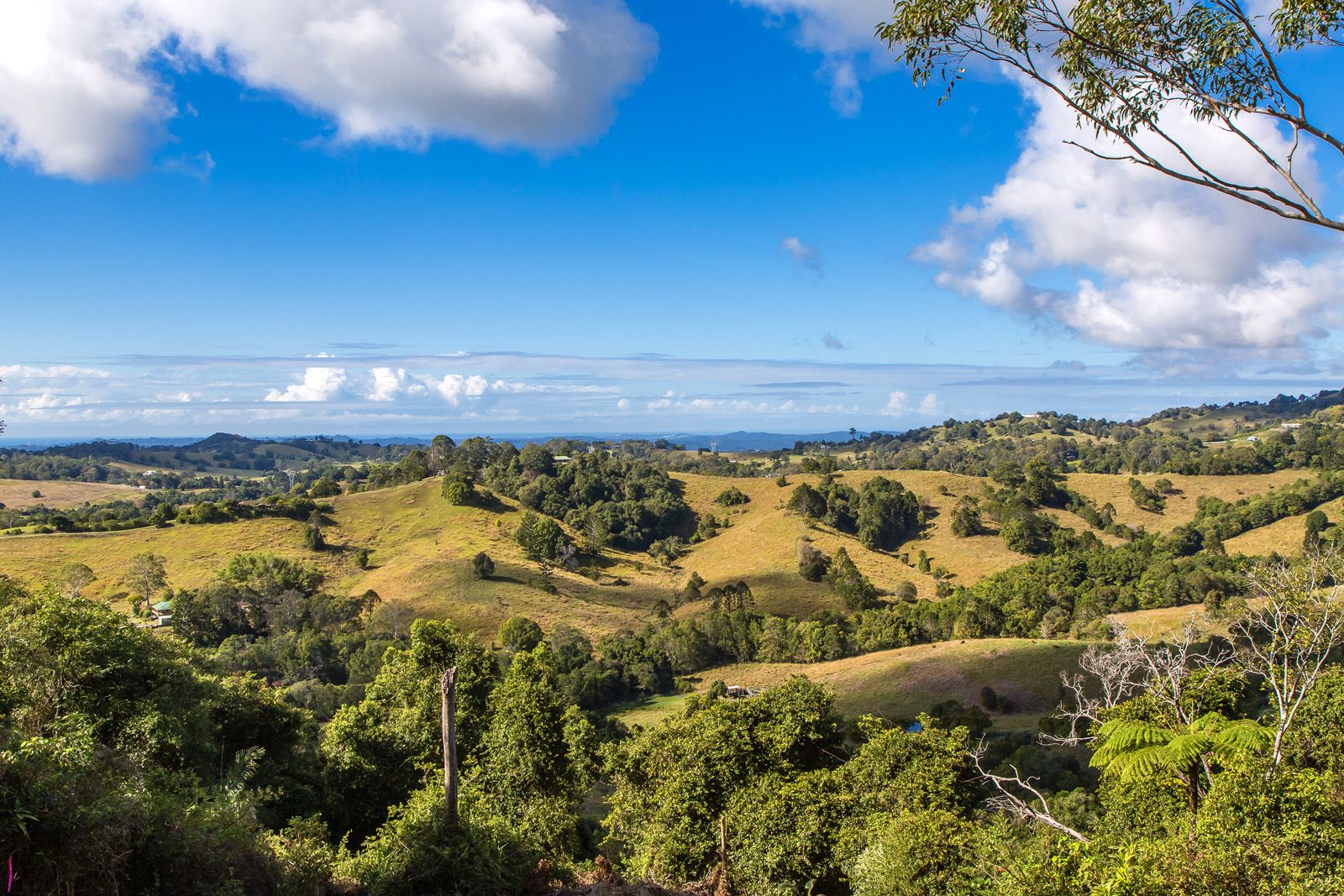 6 Falcon Court, Mapleton QLD 4560 Domain