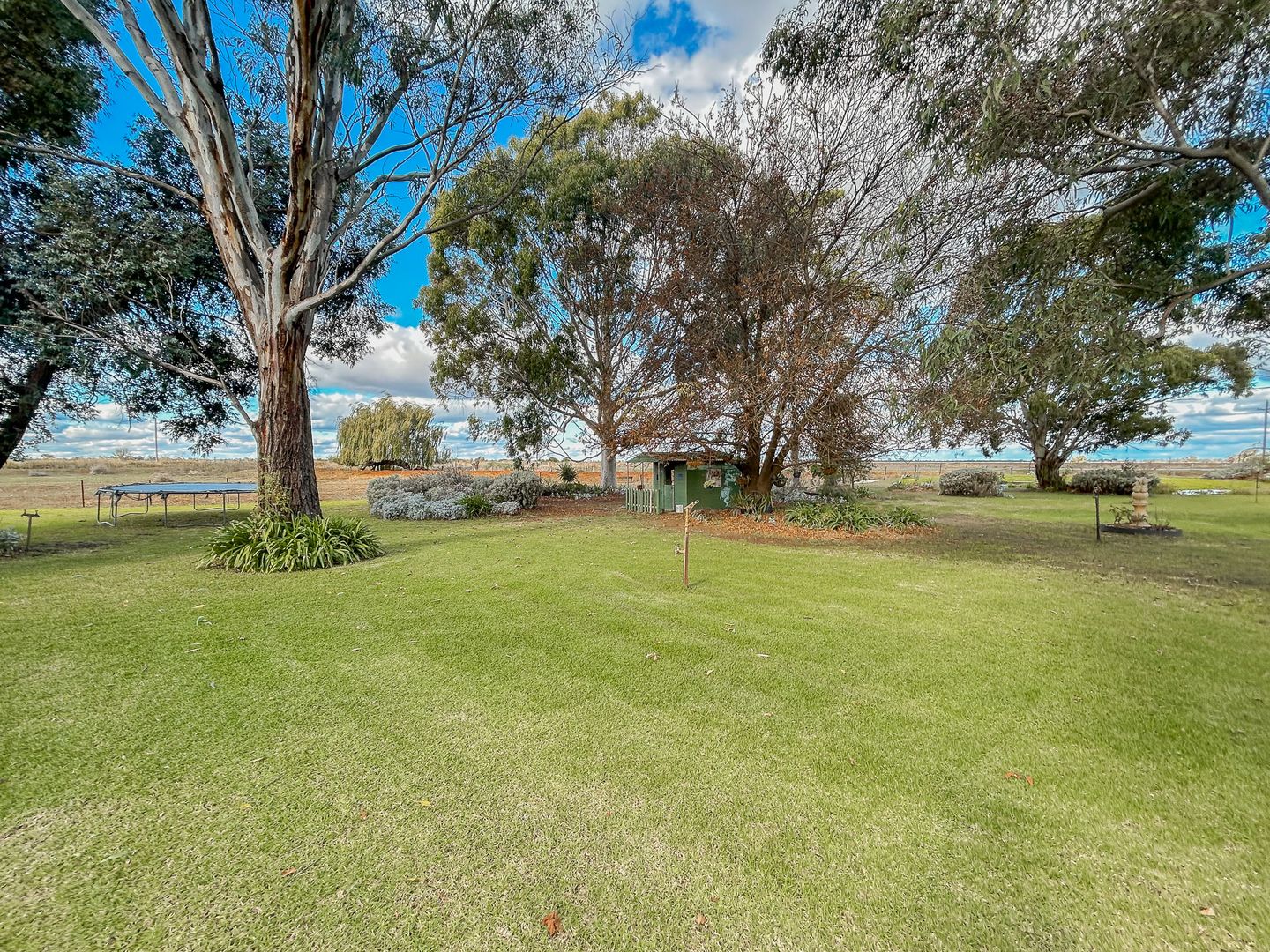 911 Kerang-Koondrook Road, Kerang VIC 3579, Image 1