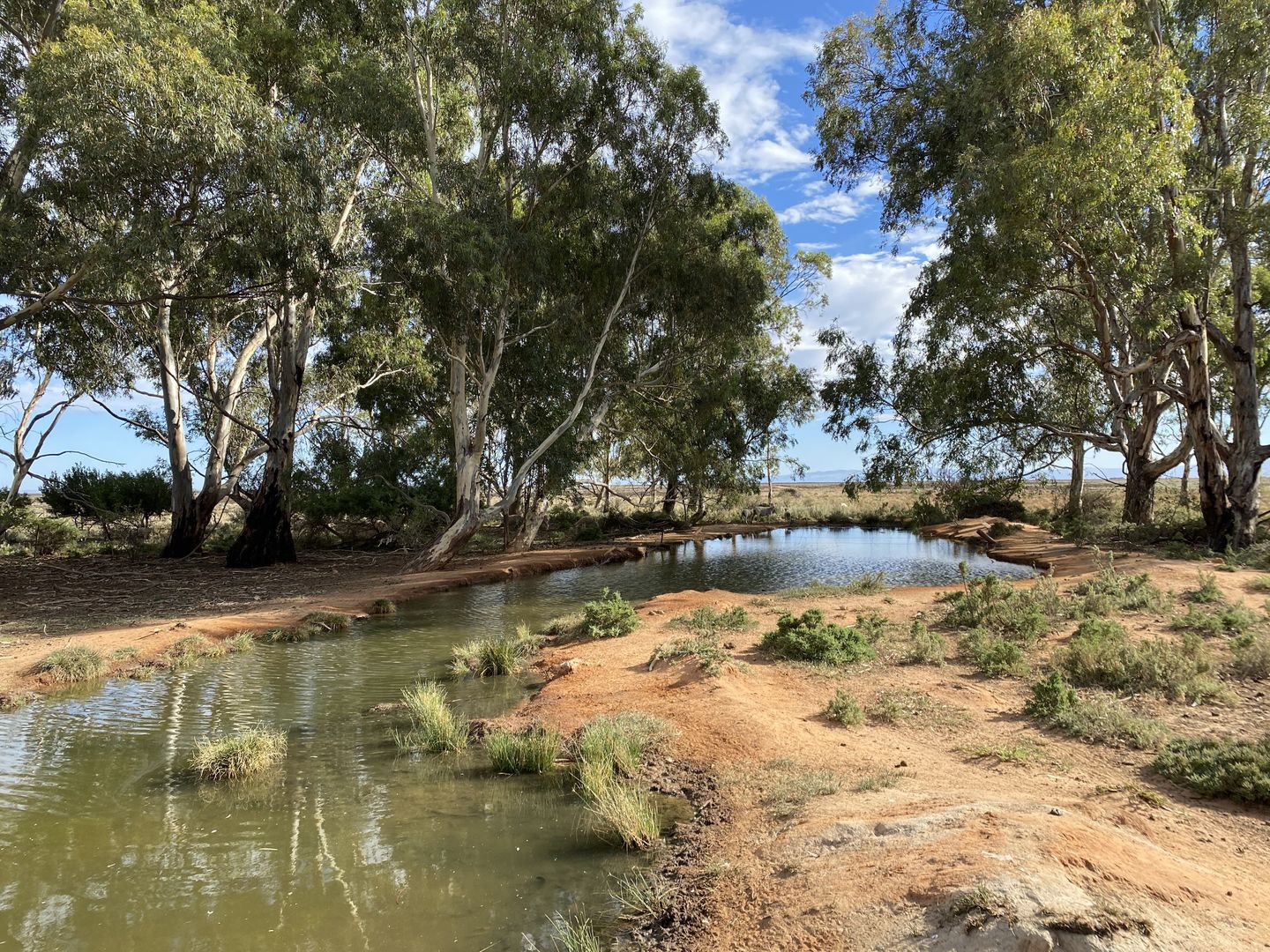 2521 Davis Rd, Port Davis SA 5540 House for Sale Domain