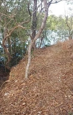 Image 15