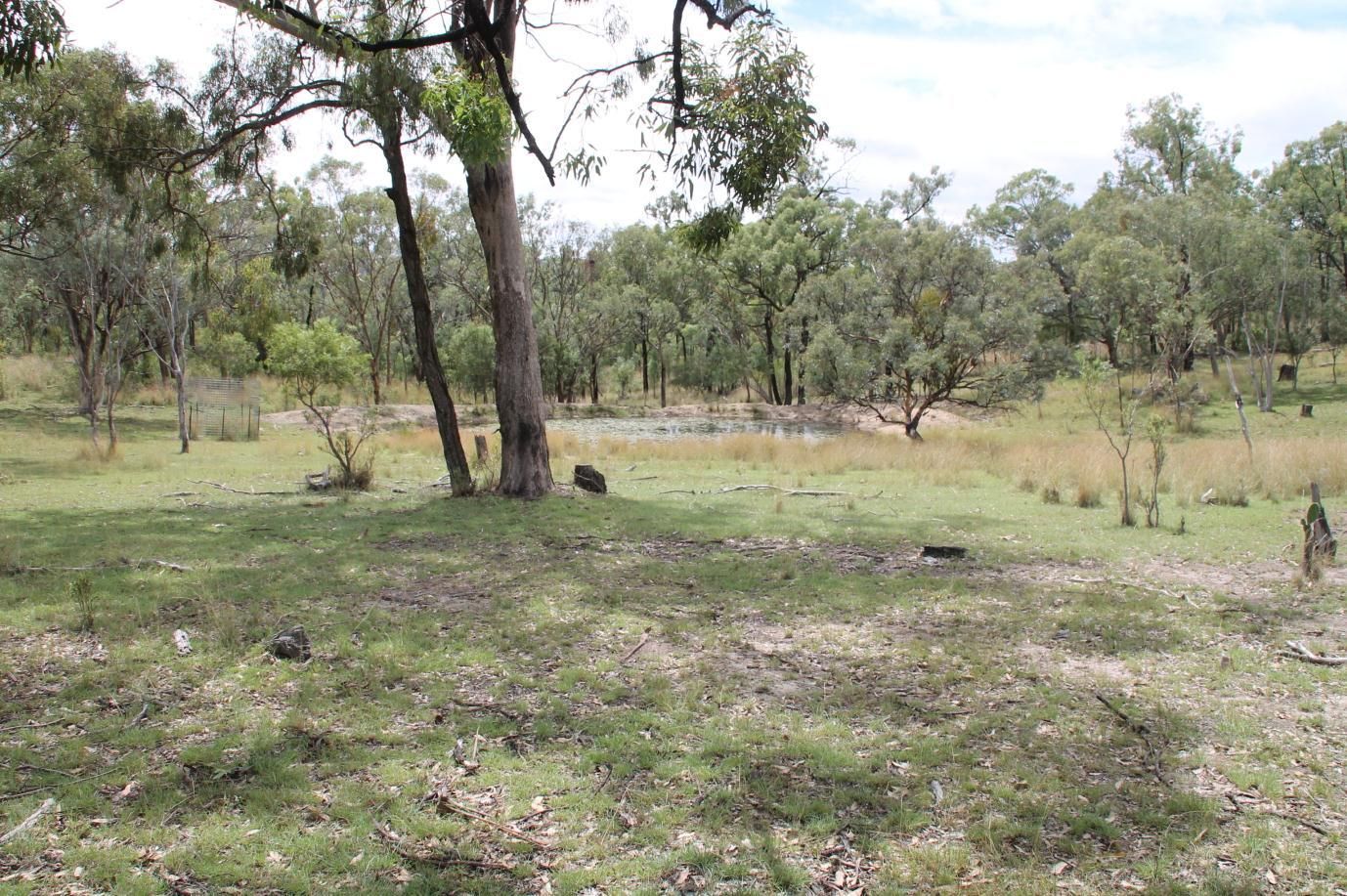 4296 Bruxner Way, Mole River Property History & Address Research Domain