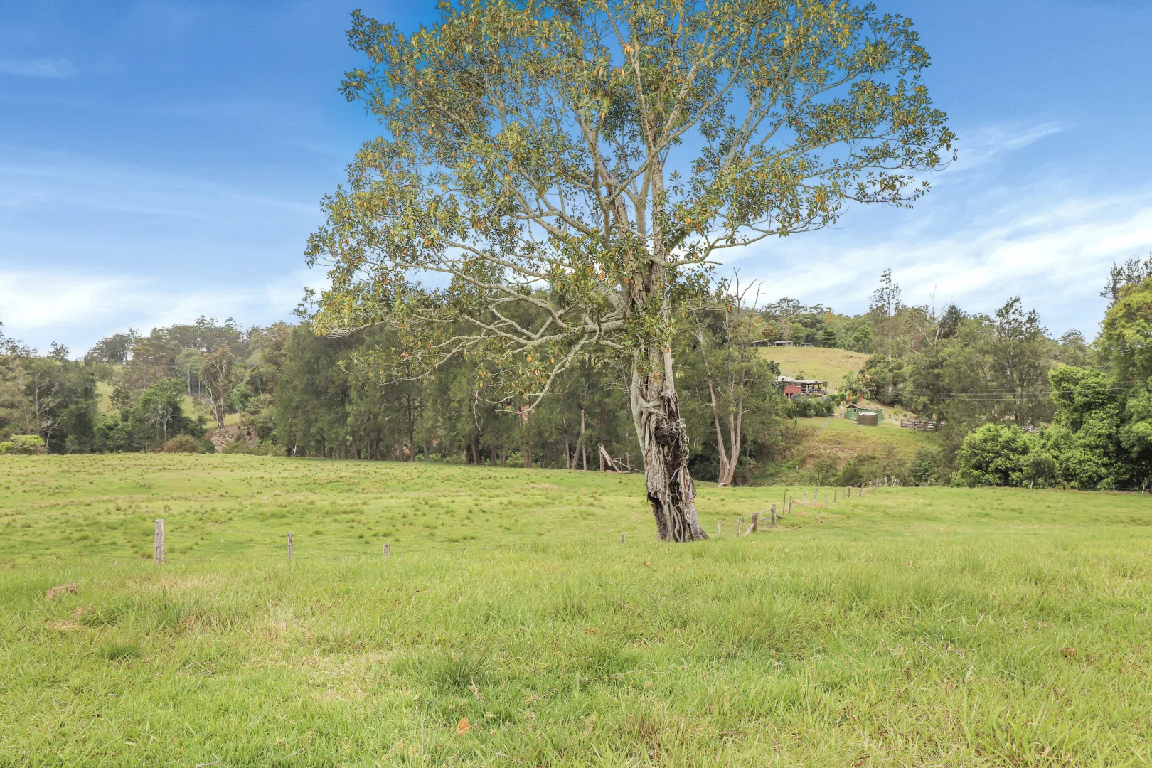 Image 37
