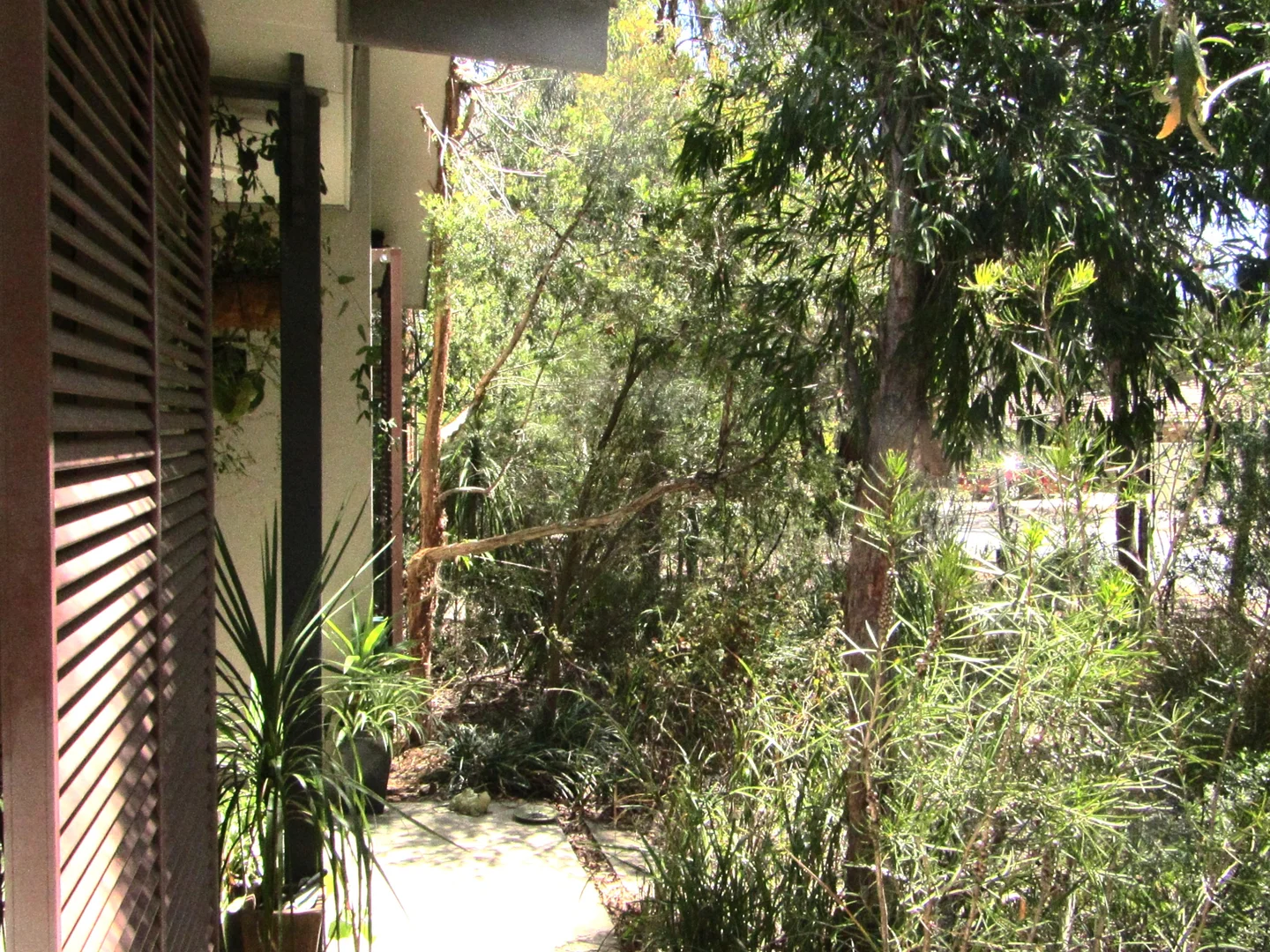 Additional image 27 of Calwell ACT 2905