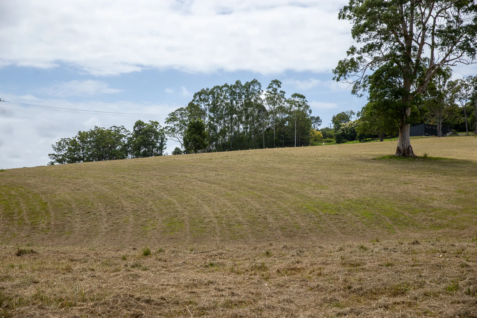 Image 27