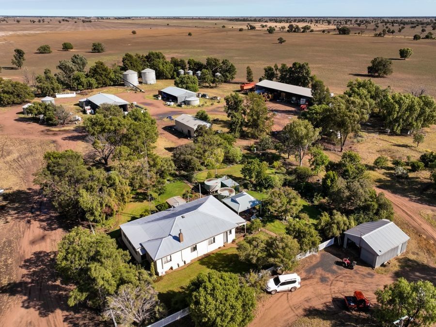 "Yarran" "Wilga Plains" "Back Tenandra", Armatree NSW 2828, Image 0