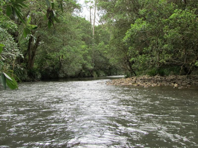 MONKERAI NSW 2415, Image 1