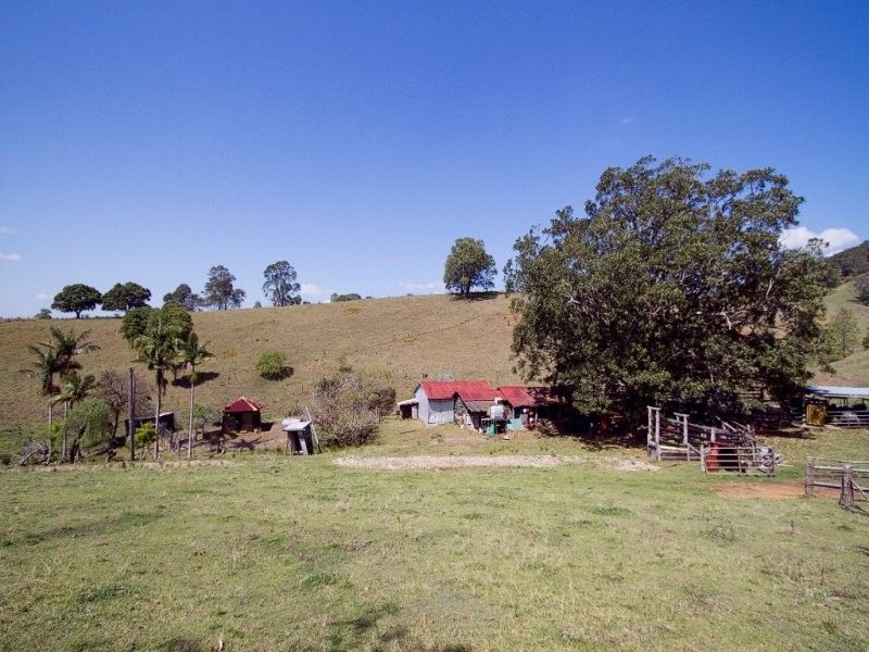 Lot 24 Bond Rd, King Scrub QLD 4521, Image 1