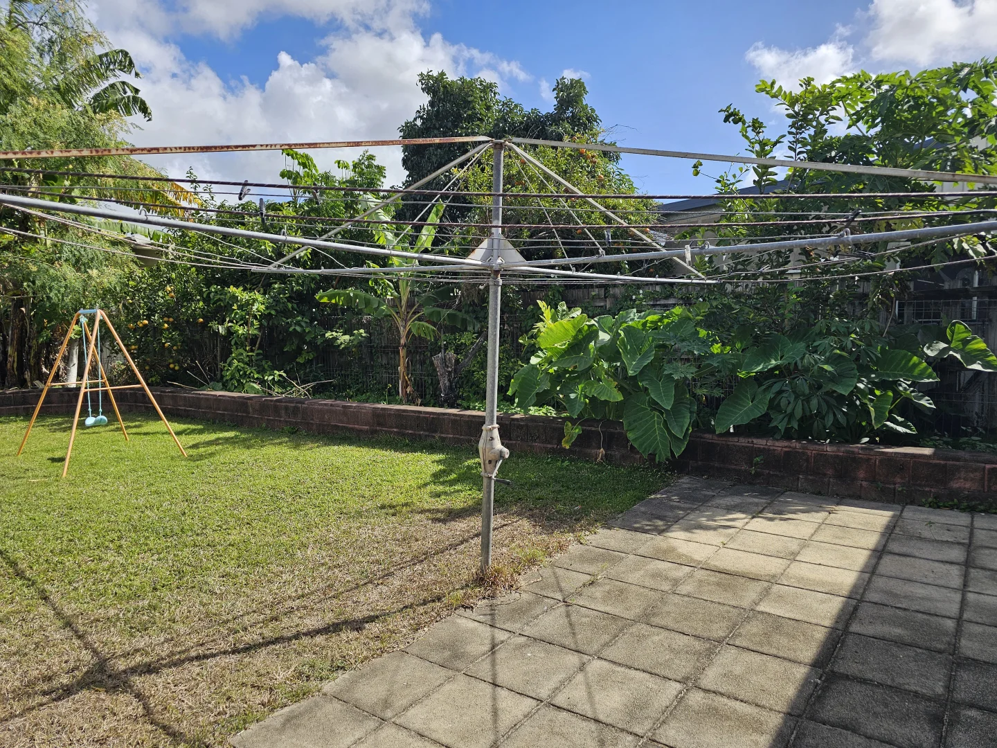 Image 12