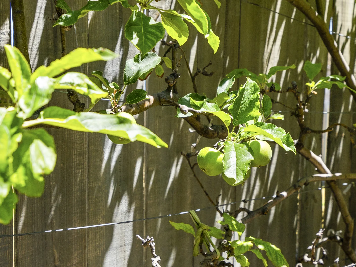 Additional image 25 of 54 McKinly Street, Midway Point TAS 7171