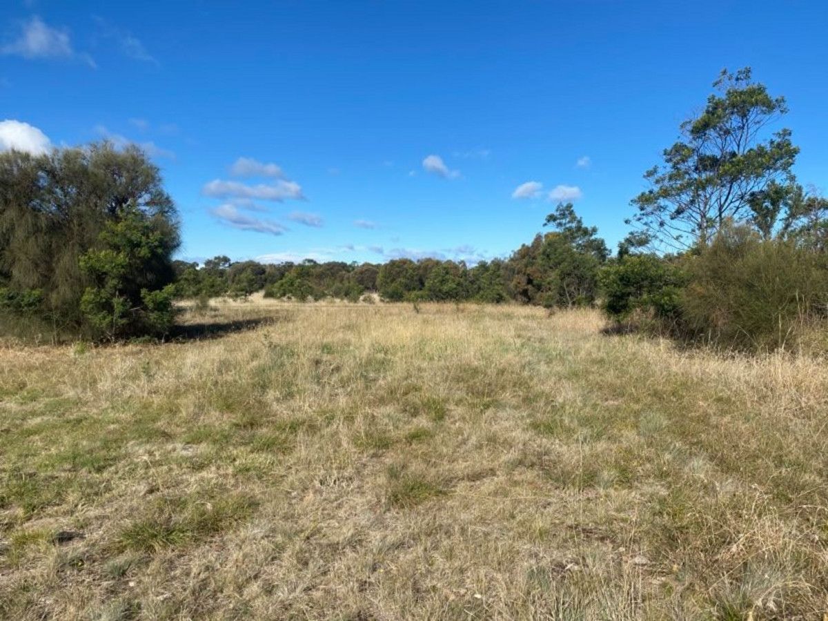 Lot 211, 12990 Tasman Highway, Swansea TAS 7190, Image 1