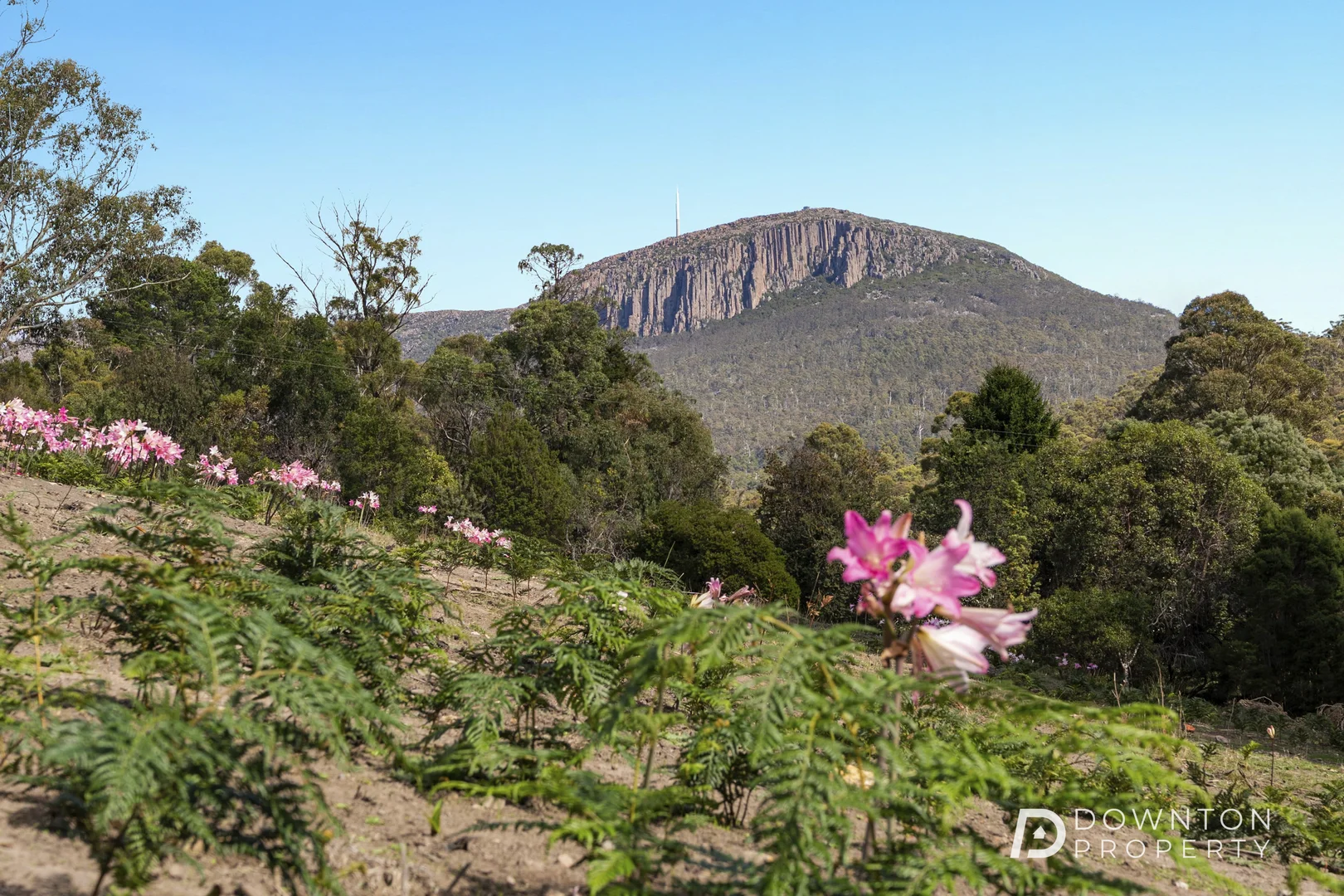 Additional image 21 of 35 Old Farm Road, South Hobart TAS 7004