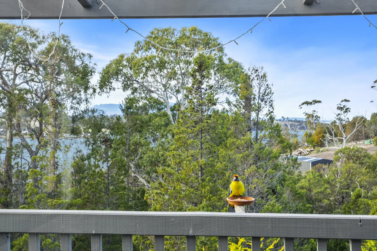Additional image 25 of 79 Barton Avenue, Triabunna TAS 7190