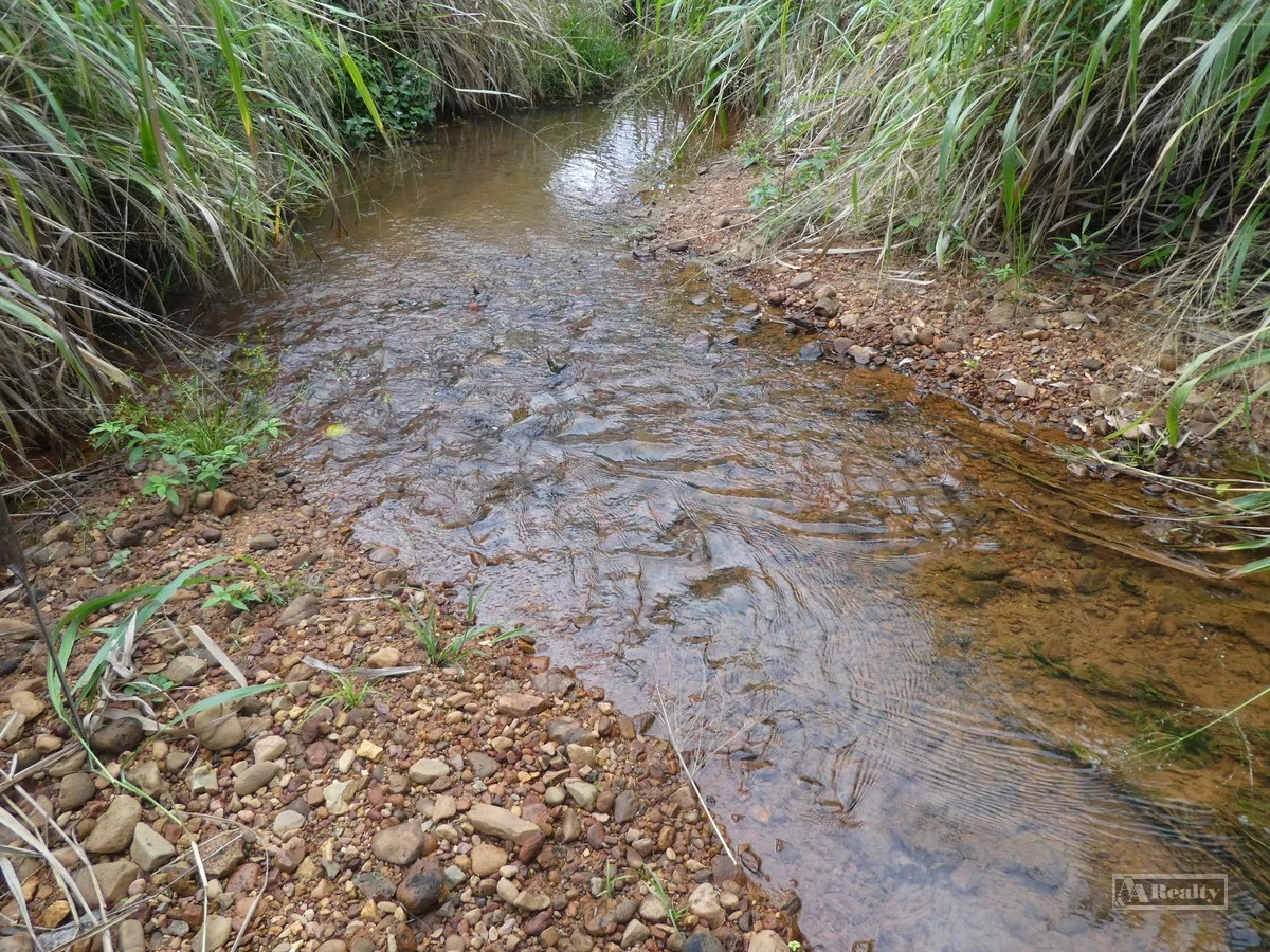 Image 13