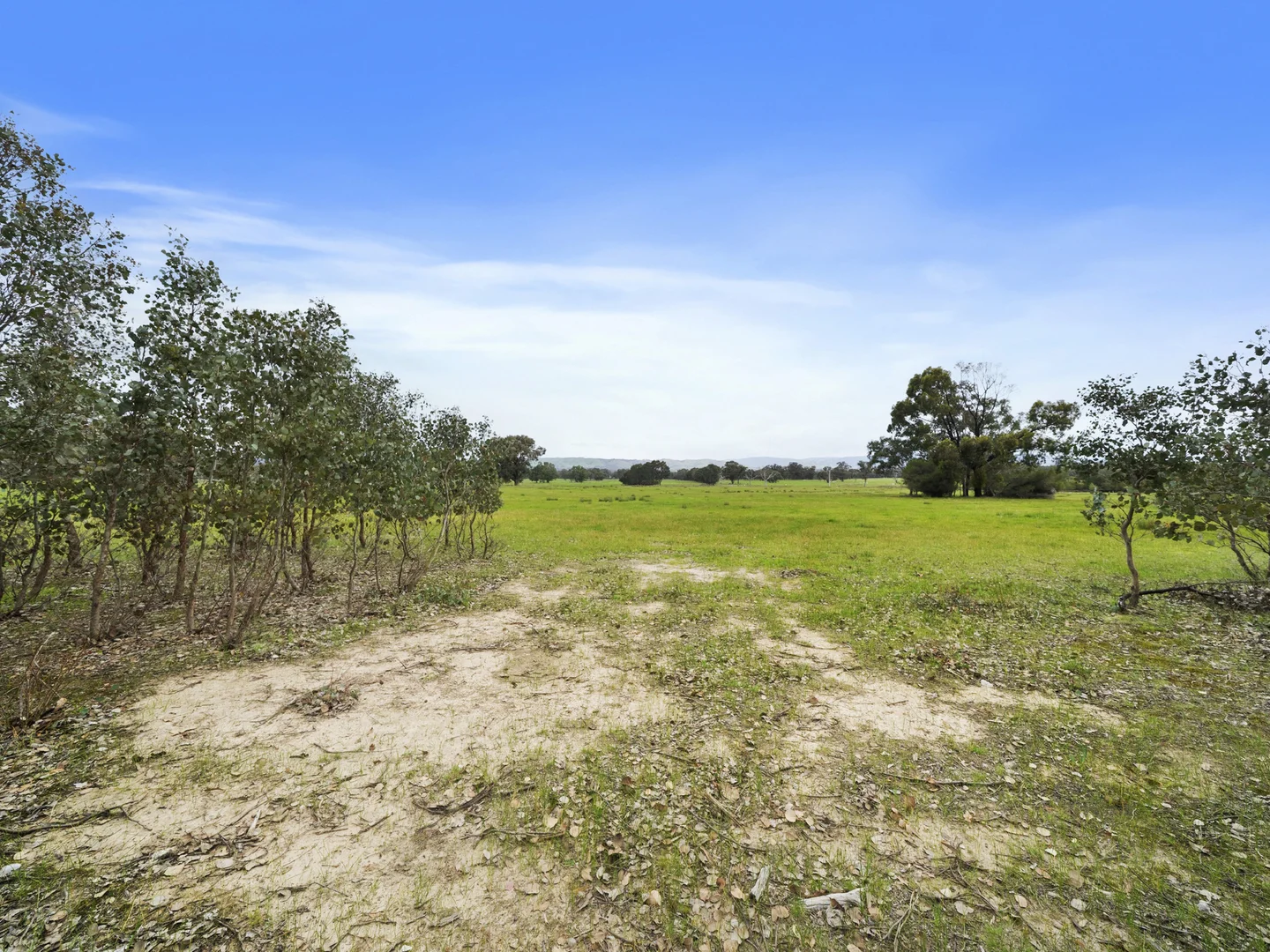 Image 9