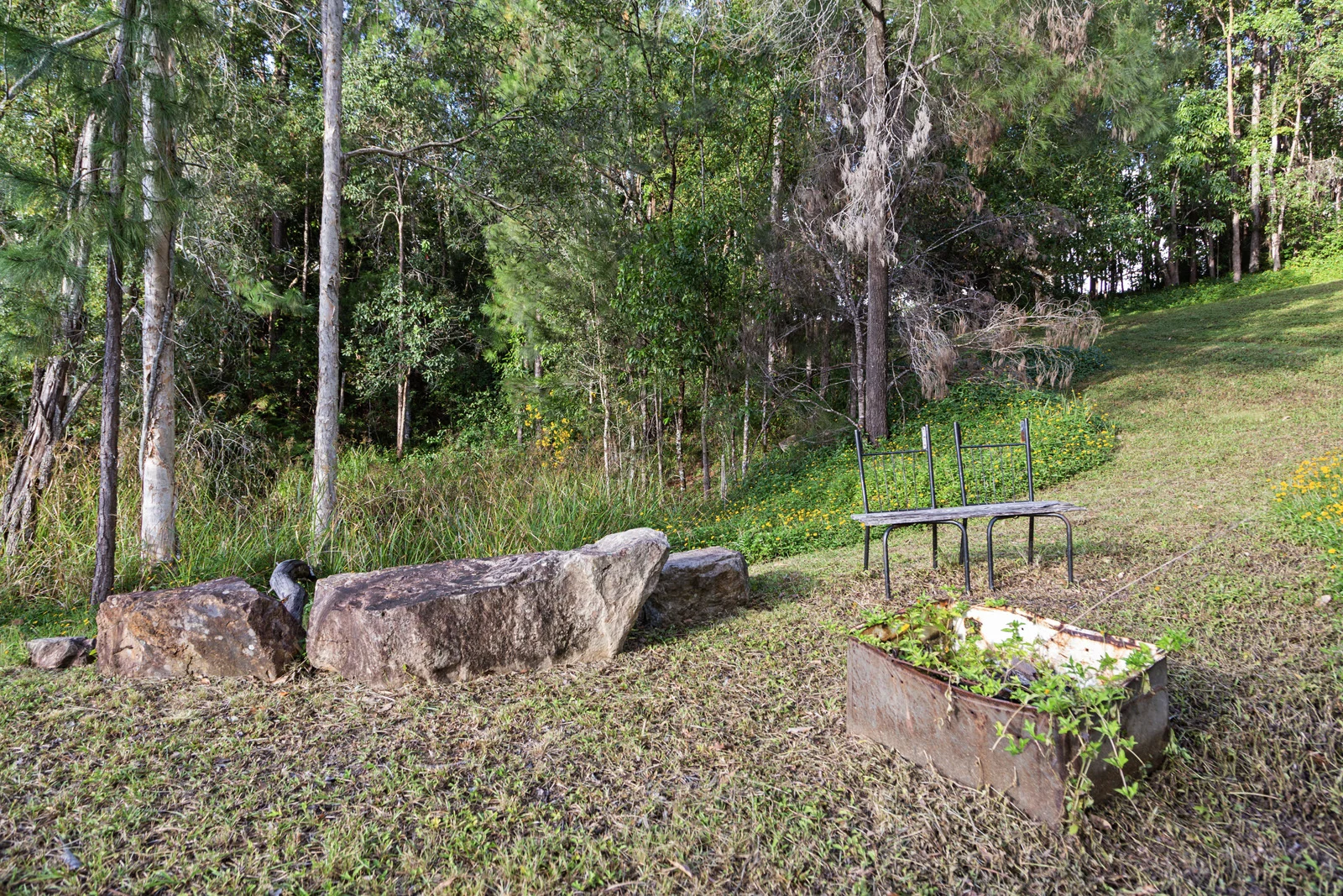 Image 15