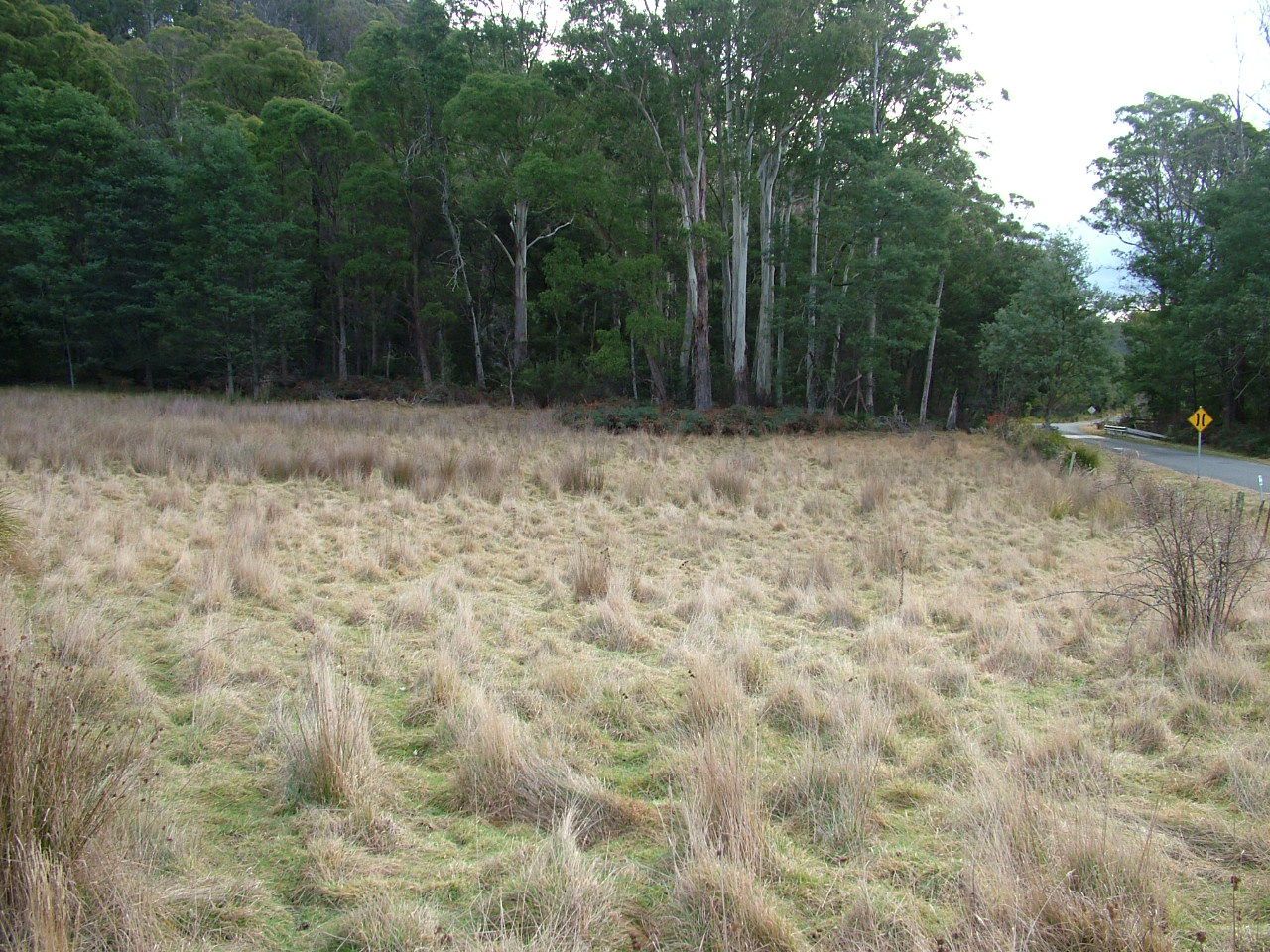 Lot 3 Upper Esk Rd, Upper Esk TAS 7214, Image 2