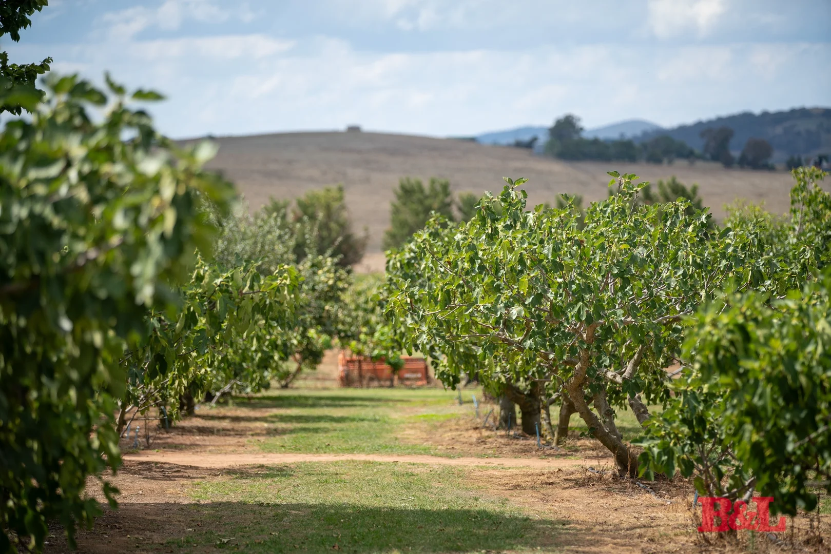 Additional image 24 of 7 Melrose Drive, Raglan NSW 2795