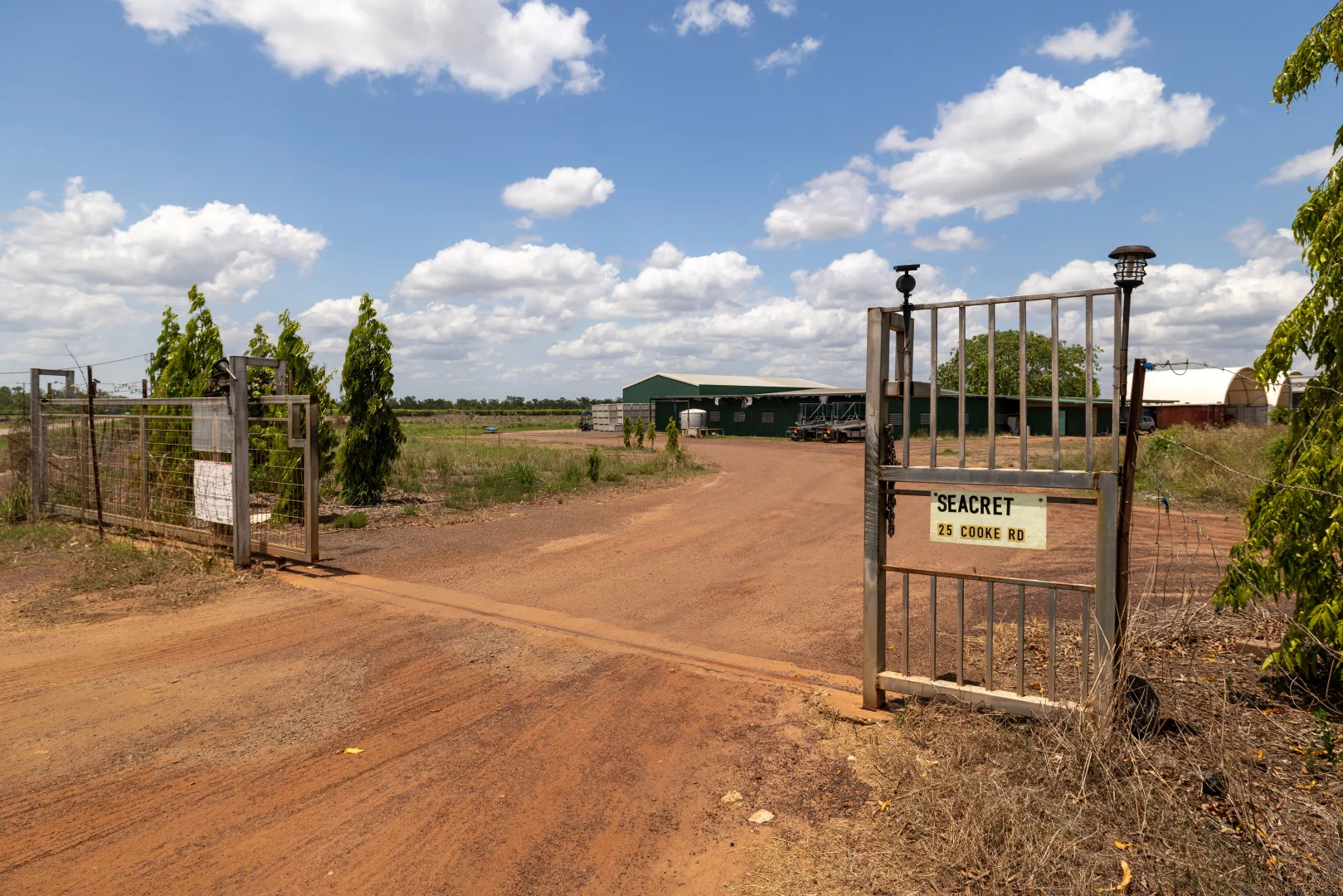 Image 10