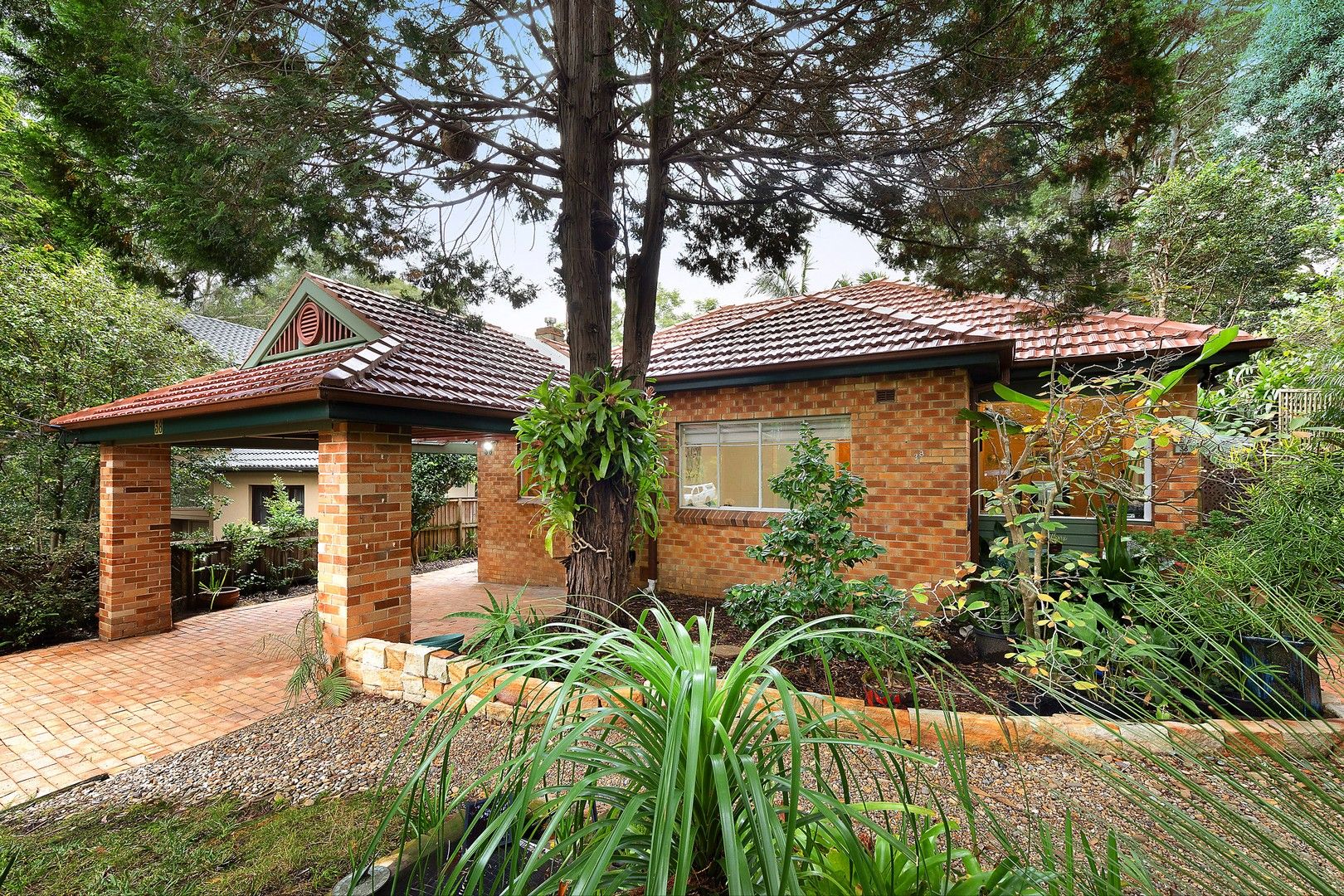 38 Grayling Road, West Pymble NSW 2073, Image 0