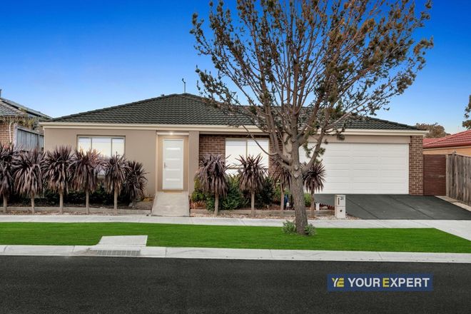 Picture of 21 Guinea Flower Drive, CRANBOURNE WEST VIC 3977