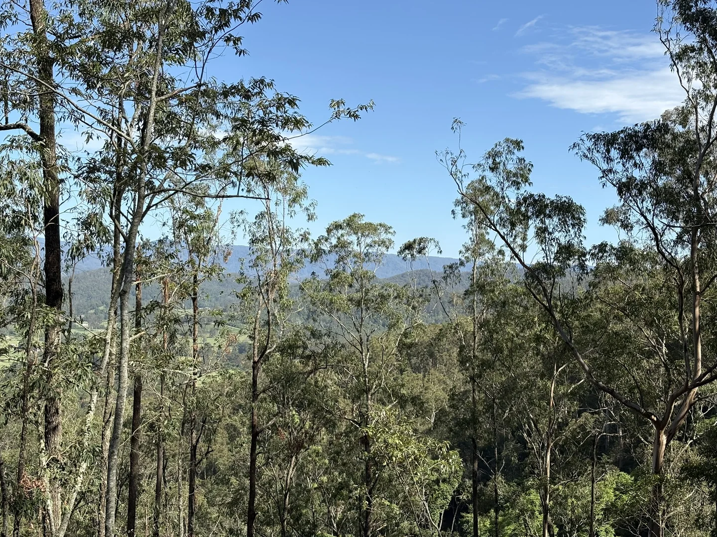 Image 18