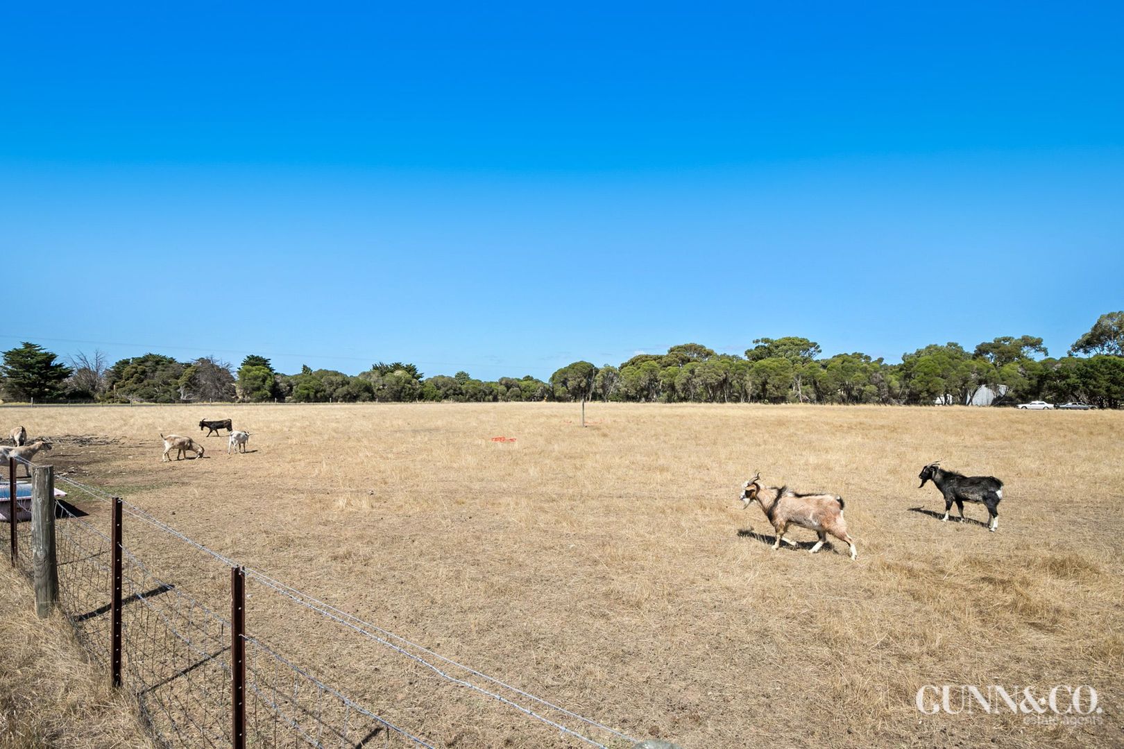 5 Cozens Road, Avalon VIC 3212, Image 1