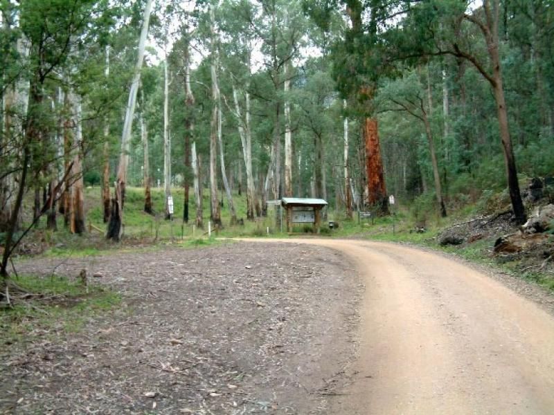 Lot 1 Dredgehole Lane, HARRIETVILLE VIC 3741, Image 2