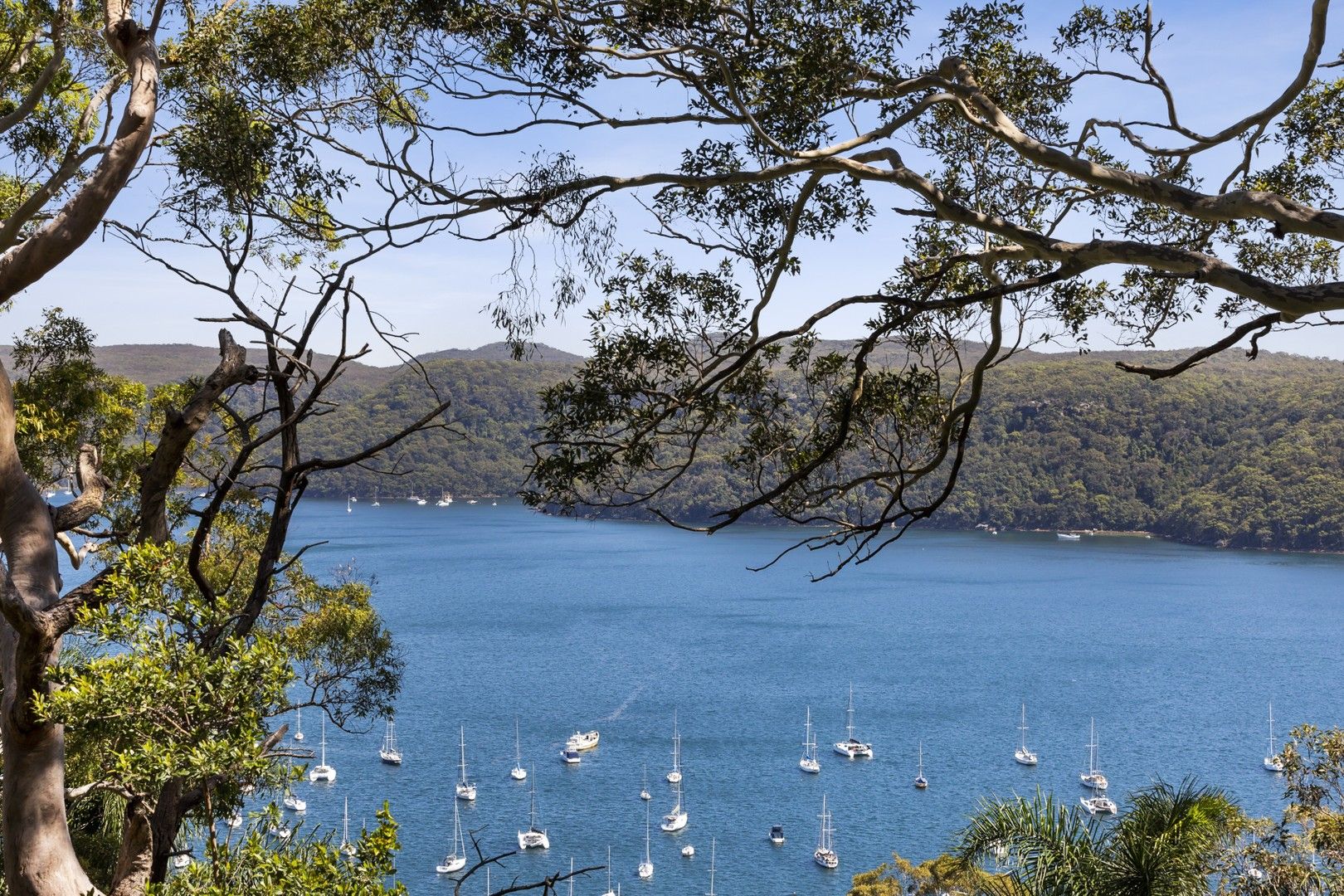 62 Chisholm Avenue, Avalon Beach NSW 2107 Domain