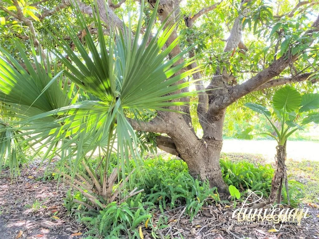 Additional image 6 of 275B Elizabeth Valley Road, Noonamah NT 0837