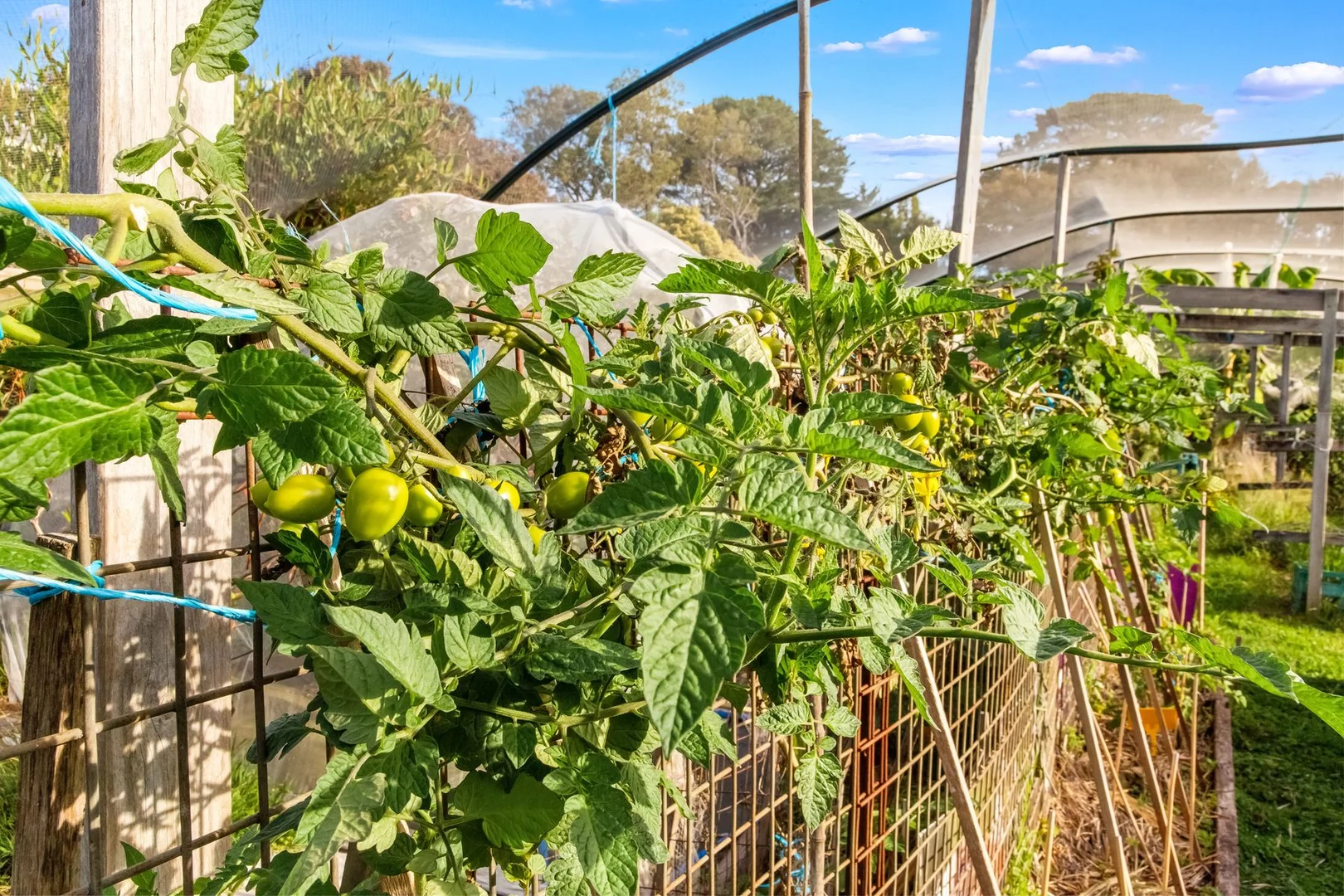 Additional image 12 of 20 Nerrena Road, Dumbalk VIC 3956