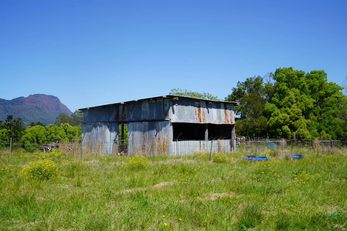 Image 19
